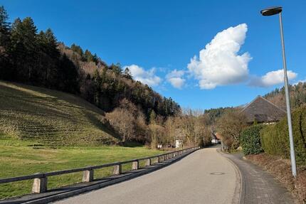 3 Z. 100qm Wohnung +90qm Dachboden - Münstertal/Schwarzwald