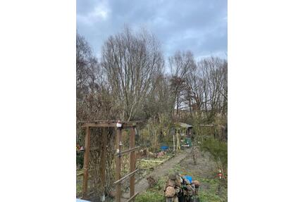 Kleingarten Nähe Reutershagen Marienehe günstig abzugeben - Rostock