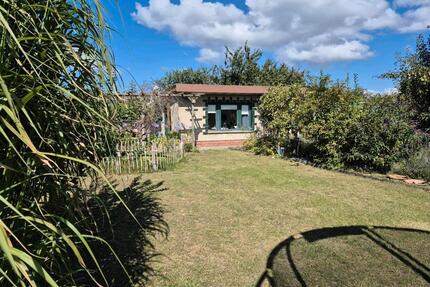 Kleingarten - 750,00&nbsp;EUR Kaltmiete, ca.&nbsp; 0,00&nbsp;m&sup2; in Stralsund (PLZ: 18439)