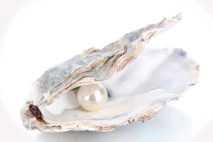 1 Haus mit Vergangenheit - 700,00&nbsp;EUR Kaltmiete, ca.&nbsp; 70,00&nbsp;m&sup2; in Ingolstadt (PLZ: 85051) Münchener Straße