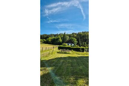 Ruhe & Natur pur: Großes Gartengrundstück 2.000 m² mit Massivhaus - Sondershausen