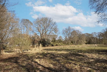 Grundstück zu verkaufen in Mechtersen 249.000,00 € 1395 m²