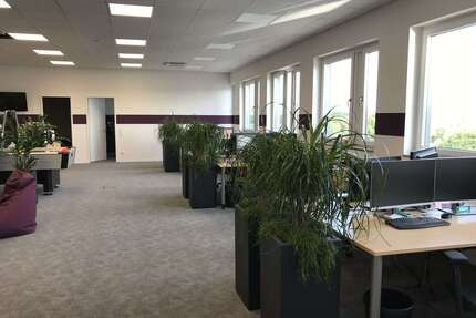 Büro in Passau 2.500,00 € 149 m²
