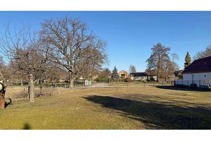 Grundstück zu verkaufen in Felixsee 21.500,00 € 890 m²