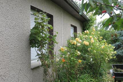 Haus in Ostseenähe zu verkaufen - Karlsburg