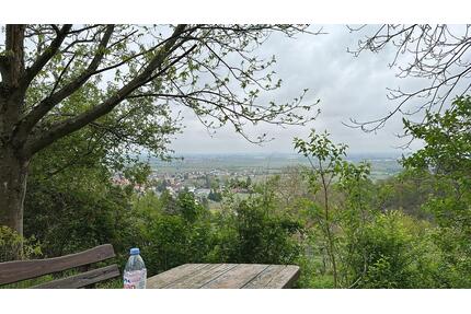 Wachenheim Schlossberg Wochenendgrundstück zum Pachten mit Fernb - Wachenheim an der Weinstraße