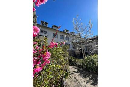 Traumhafte Lage am Weißen Hirsch !! 2-Raum Wohnung - Dresden Loschwitz/Wachwitz