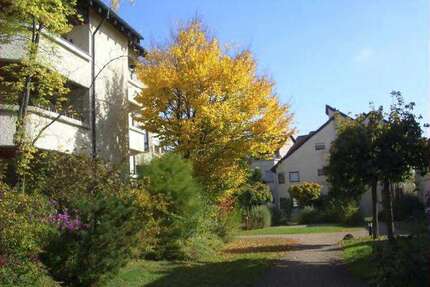 Wohnung zum Mieten in Pliezhausen 1.000,00 € 95 m²