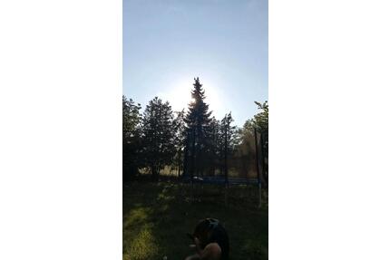 Chance: Sonnige 4-Zimmerwohnung in Heilsbronn frei geworden.