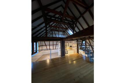 Einfamilienhaus (Loft-Stil) mit eigenem Garten in 64739 Höchst - Höchst im Odenwald