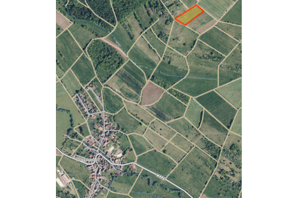 1,1 ha Weideland in Alleinlage (Mücke-Höckersdorf) - Büdingen