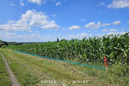 Grundstück zu verkaufen in Obernkirchen 70.000,00 € 4319 m²