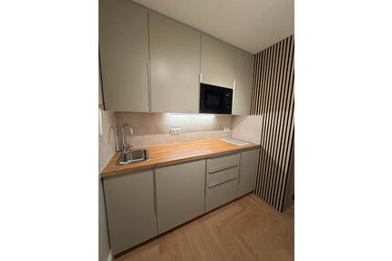 renovierte 1-Raumwohnung in Leipzig-Lindenau