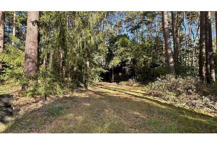 Kleines Wohlfühlhaus in WienhausenNordburg auf Erbpachtgrundstück! (SY-1020-78)