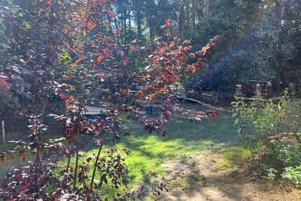 Eigentumswohnungen u. Doppelhaushälften in Handeloh zu verkaufen