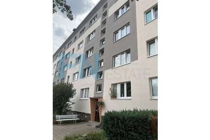 Wohnung zum Mieten in Bad Düben 350,00 € 49.55 m²