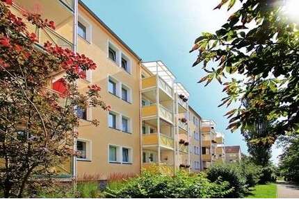 Wohnung zum Mieten in Zwickau 302,40 € 48 m²