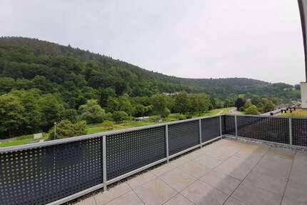 Wohnung zum Kaufen in Calw 407.700,00 € 88.62 m²