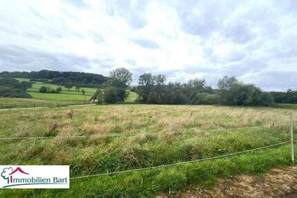 40 AR IN GRENZNÄHE LUXEMBURG! - 224.800,00&nbsp;EUR Kaufpreis, ca.&nbsp; 0,00&nbsp;m&sup2; in Merzkirchen / Körrig (PLZ: 54439)