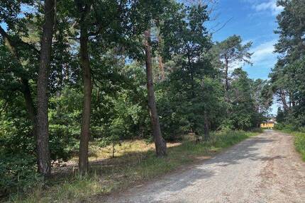 Idyllisches Baugrundstück in Briesen(Mark) - Ideal für Familien, die Natur und gute Anbindung schätzen