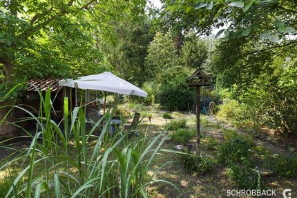 Großes Grundstück am Waldrand mit modernisiertem Bestandshaus - Langewahl