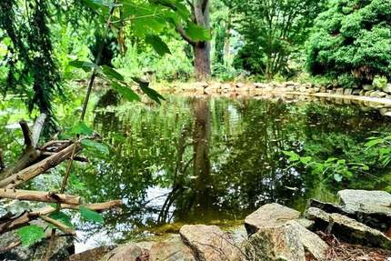Ehemaliger Schaugarten einer Baumschule möchte wiederbelebt werden! - Döbern