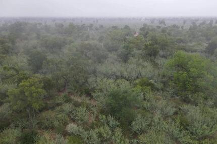 Fokus auf Investment & Zukunft 5000 ha in Paraguay - Germering