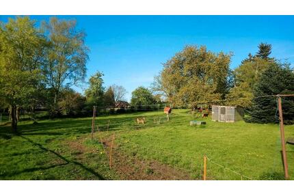 Haus für Tier- und Naturfreunde, Grundstück 4100 m² - Jördenstorf