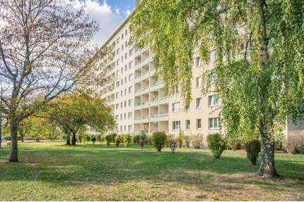 Wohnung zum Mieten in Chemnitz 295,00 € 45.46 m²