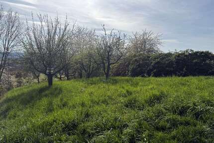 Grundstück zu verkaufen in Esslingen am Neckar 6.900,00 € 649 m²