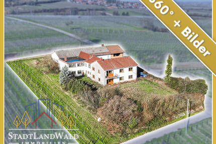 Leben über dem Rebenmeer - Ehemaliges Weingut in Alleinlage und Blick in die Rheinebene - Frankweiler