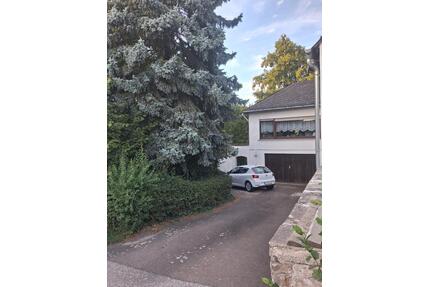 Mehrfamilienhaus - 280.000,00&nbsp;EUR Kaufpreis, ca.&nbsp; 280,00&nbsp;m&sup2; in Gemünden (PLZ: 55490)