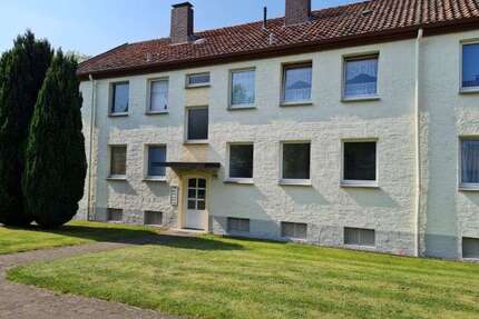 Wohnung zum Mieten in Bielefeld 375,00 € 53.58 m²