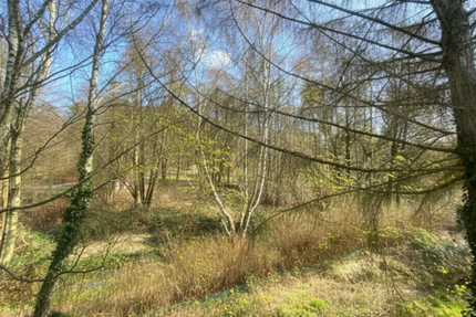 Grundstück zu verkaufen in Hoppegarten 195.000,00 € 675 m²