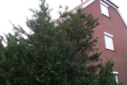 Doppelhaus-Hälfte in Wismar zu verkaufen - Gägelow