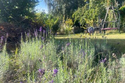 Kleingarten in Gehlsdorf, KGV 