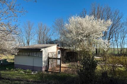 Kleingarten Pachtgarten Gartengrundstück Garten - Weißensee