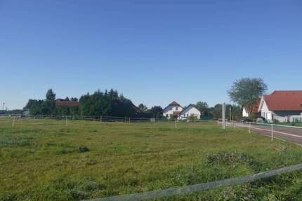 Grundstück zu verkaufen in Könnern OT Kirchedlau 28.500,00 € 585 m²