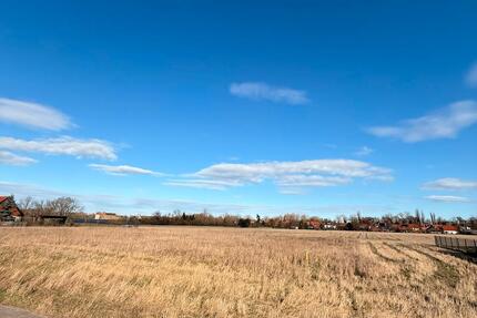 Baugrundstück in Wasserleben - 90,00&nbsp;EUR Kaltmiete, ca.&nbsp; 0,00&nbsp;m&sup2; in Osterwieck (PLZ: 38835)