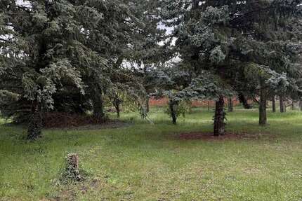 Grundstück zu verkaufen in Könnern OT Belleben 25.000,00 € 1000 m²