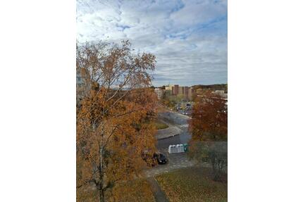 3 ZKB Wohnung auf Eigentumsgrundstück stadtnah und doch im Grünen - Wolfsburg Alt-Wolfsburg