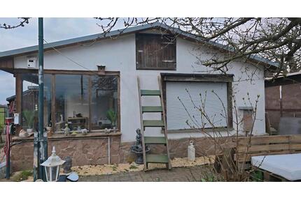 Pachtgarten in direkter Lage am Wörlitzer Park - Oranienbaum-Wörlitz