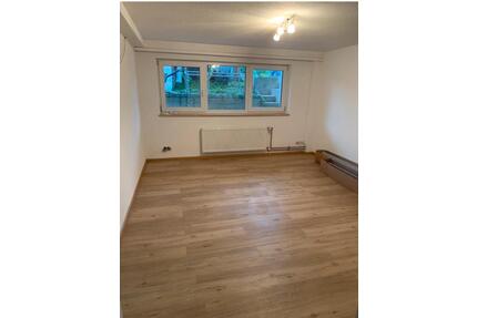 Untergeschoss Wohnung 2 Zimmer - 650,00&nbsp;EUR Kaltmiete, ca.&nbsp; 45,00&nbsp;m&sup2; in Schwörstadt (PLZ: 79739)