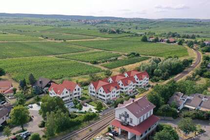 Wohnung zum Kaufen in Freinsheim 638.000,00 € 118 m²