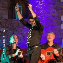 Flamenco en camino | Kulturschiene Mainz