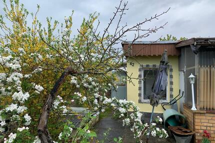 Garten in Schwedt - 100,00&nbsp;EUR Kaltmiete, ca.&nbsp; 0,00&nbsp;m&sup2; in Schwedt (Oder) (PLZ: 16303)