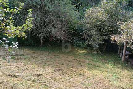 Grundstück zu verkaufen in Merzig 135.000,00 € 1484 m²