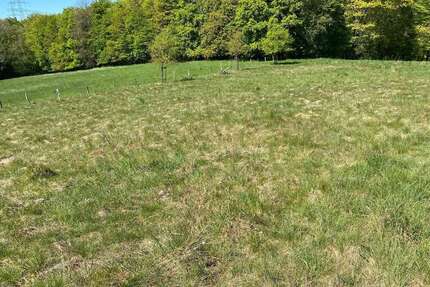 Grundstück in Remscheid 1.200,00 € 15500 m²