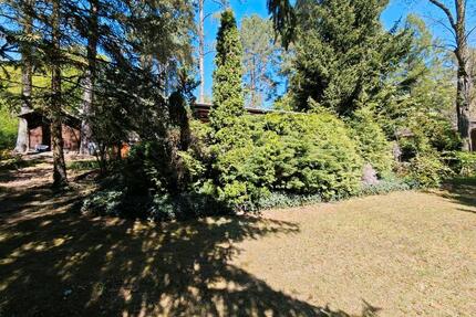 Pachtgrundstück Schorfheide Bungalow Waldgrundstück Garten
