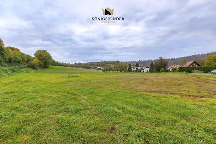 Attraktives Baugrundstück: Wohnen & Arbeiten im Herzen des Neckartals - mit top Zukunftsperspektive - Starzach Sulzau